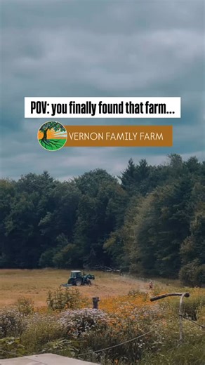 Lots of new people discovering Vernon Family Farm and finally coming to Vernon Family Farm. Thank you, we’re so pleased to be your farmers! ♥️ #makethetime #healthmatters #knowyourfarmer #vernonfamilyfarm #seacoastnh | Vernon Family Farm