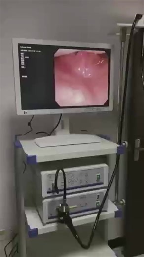 Medical Endoscopy Machine 32 Inches Veterinary Endoscope Endoscopy Camera System Configuration Gastroscope and Colonoscope