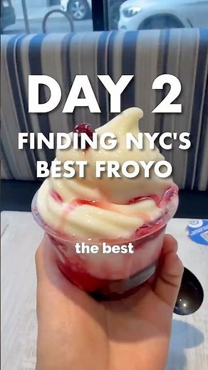 The Gyro Project Froyo Review Day 2 Finding the Best Froyo in NYC