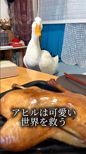 Duck and Peking Duck
