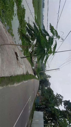 Abu Raihan Raihan on Reels