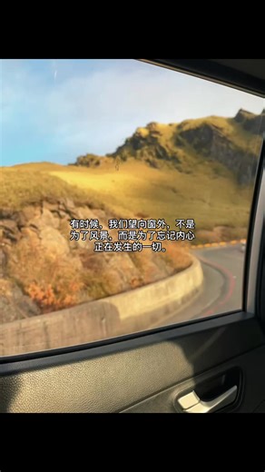 Finding Solace in the View Outside