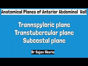 Planes of Anterior Abdominal Wall | Transpyloric plane | Transtubercular plane | subcostal plane |