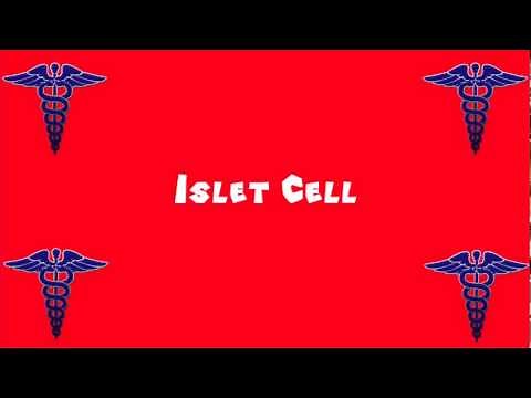 Pronounce Medical Words ― Islet Cell