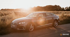 Skin Cancer Facts: Does Window Tint Prevent Skin Damage From The Sun? | Rayno Window Film