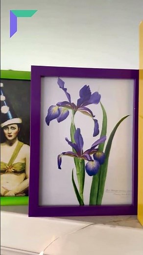 Color-Forward Framing