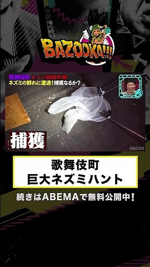 歌舞伎町で巨大ネズミハンティングの瞬間！新宿租界・虎太郎ビビりまくり....