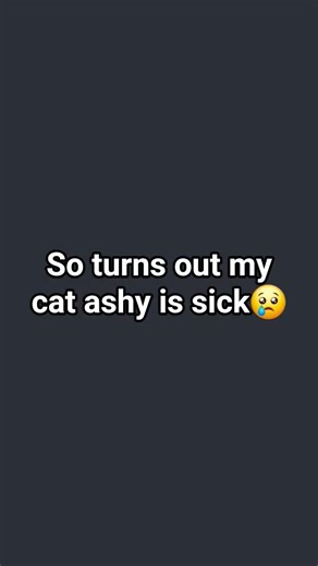 comment Amen Ashy to make hím feel better and no im not begging for subs