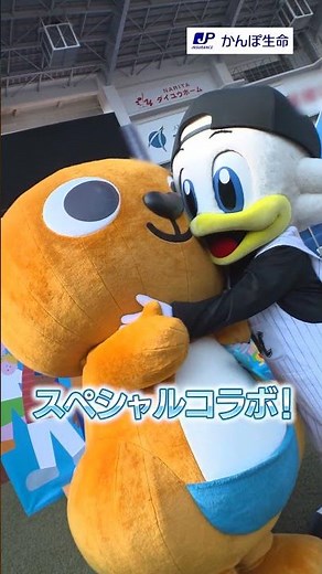 【ラジオ体操に挑戦！】千葉ロッテマリーンズ公式マスコットのズーちゃんがかんぽくんとスペシャルコラボ✨