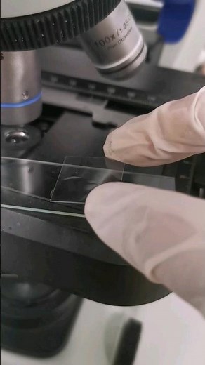 Alcohol under the microscope #laboratory #blacklabel #alcohol