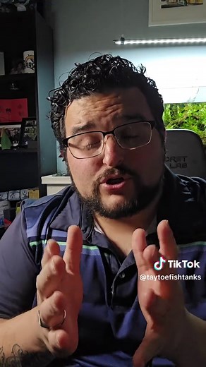 Creating A Beginner Fish Tank: Expert Tips and Guidance