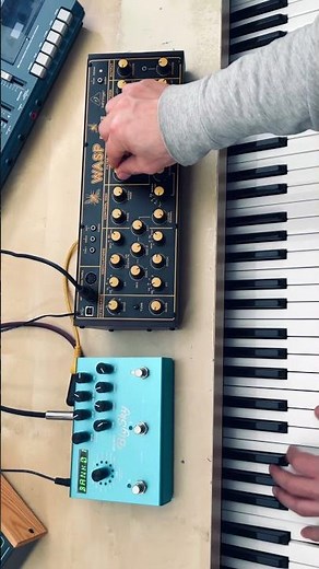 How does the Behringer Wasp sound? 🐝🎹#behringer #synth #shorts