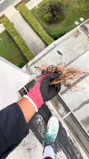 #gutterservices #housewash