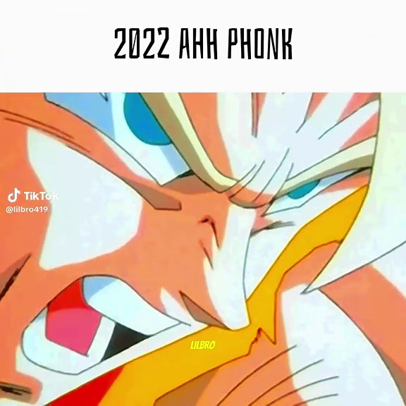 2022 ahh phonk#broly#brolydbz#dbz#edit#fyp