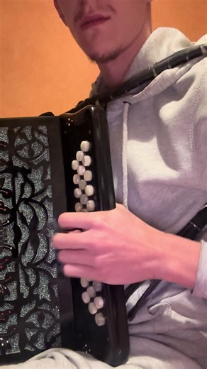 🪗 #concertina #fyp #forpage #portugal #vira
