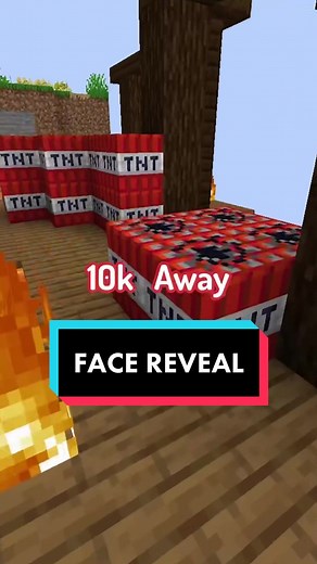 Minecraft Streamer Face Reveal: Unveiling the Identity of a Popular Content Creator