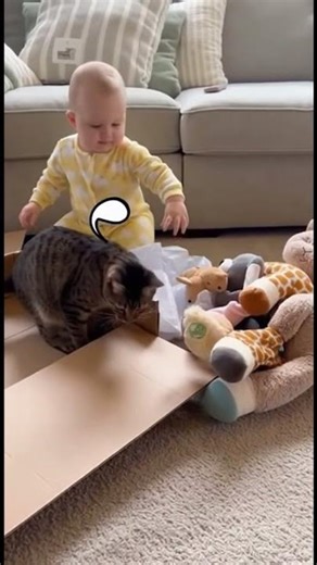 Funny Cat Fails Compilation — Cat Moments Gone Wrong!