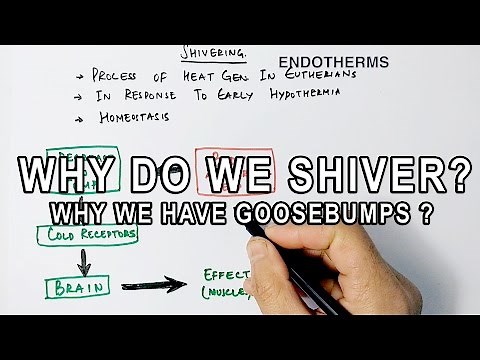 Why Do We Shiver ?