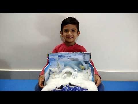 Beautiful POLAR BEAR HABITAT PROJECT made for school activity