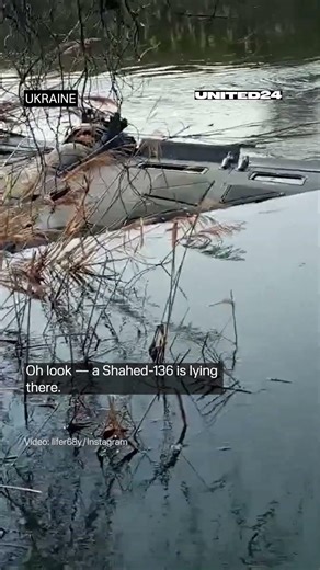 Ukrainian Fisherman Found Russian Shahed Drone #warinukraine