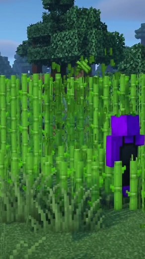 Efficient Sugarcane Farming in Minecraft