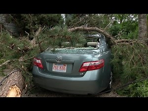 Severe storms tear across Cape Cod, cause heavy damage