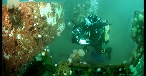 The haunting shipwrecks that are lurking beneath the sea
