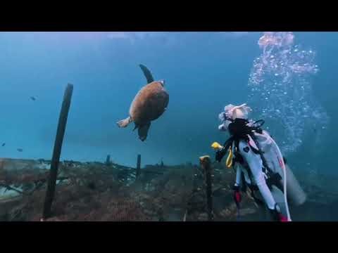 A water video worth 5 thousand scuba diving in January 19 1999 Up to 300 dives intermitten