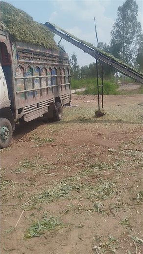 crushing tress https://youtube.com/@eye-view-622?feature=shared?sub_confirmation=1#everyone