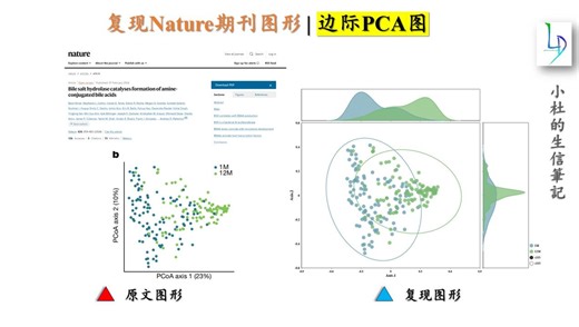 零代码1秒一键复现 | 边际PCA图