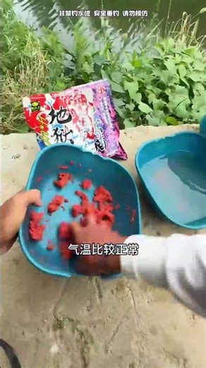 钓鱼乐趣无限，团仔带你体验