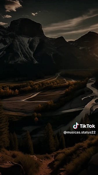 Musicas Status no TikTok