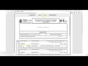 Cómo rellenar modelo D6: Declaración de titulares de inversión española en el extranjero.