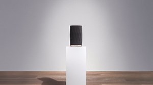 B&W Formation Flex 操作说明