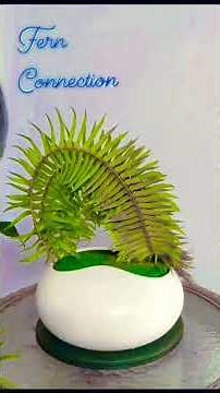 Looping fern in floral arrangement. #floralarrangement #floraldesign #ferns