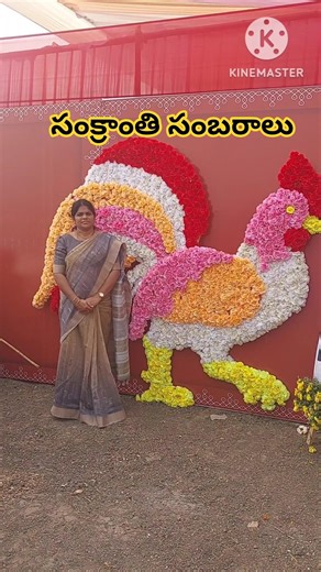 #sankranthi #bhimavaram #shorts #viral #trending