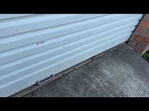 Tarantula Hawk Wasp vs Huntsman Spider: A Deadly Encounter