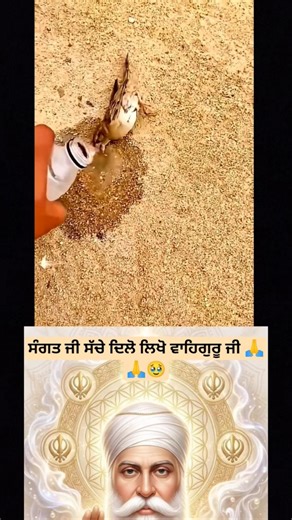 ਮੇਰਾ ਇਕ ਤੂੰ ਮਾਲਕ🙏🙏 #gurbanisashkritikatha#punjabigurbani#gurbani#punj#shortfeeds2026