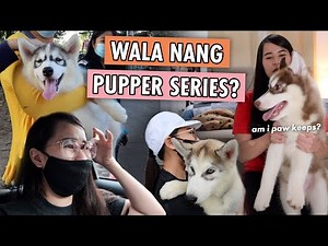NAREHOME NA ANG SUGARPUPS!! GOODBYE MGA APOS MAMIMISS KO KAYO 🥺💔