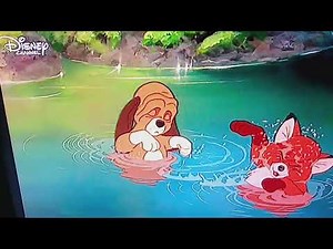 Cap und Capper (Disney 1981) - Schwimmen