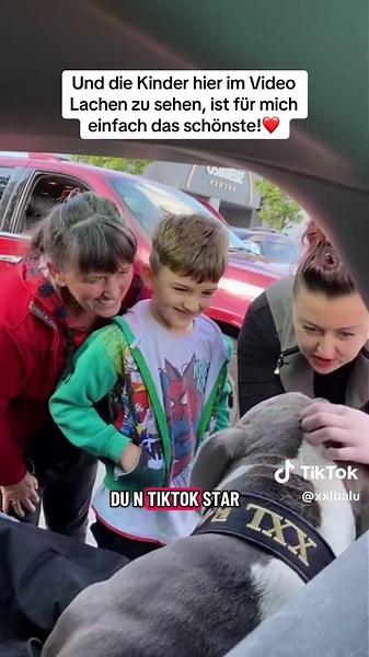 Balu der Kämpfer: Ein Hund gegen Vorurteile