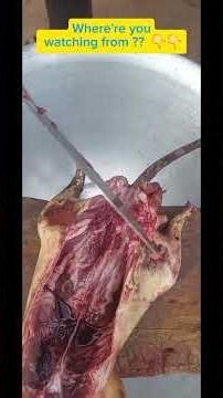 how to prepare meat,meat recipe