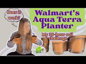 Walmart's Aqua Terra Self-Watering Planter Part 1: My 36-Hour Test To See If You Should Buy It
