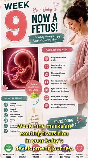 Week 9 Pregnancy | Baby Now a Fetus & Rapid Development #pregnancy #week9
