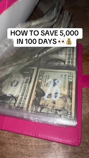 How to Save $5,000 in 100 Days with These Books
