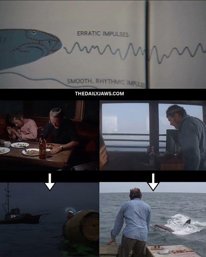 JAWS is a masterpiece