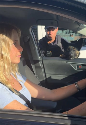 PD Hank is not impressed. Distracted driving has a direct consequence on your safety and those around you.