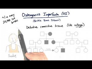 Osteogenesis Imperfecta - Tales from the Genome
