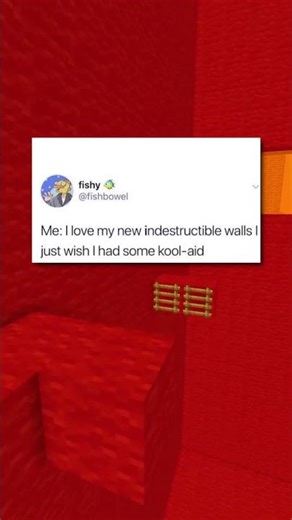 "I love my indestructible walls"