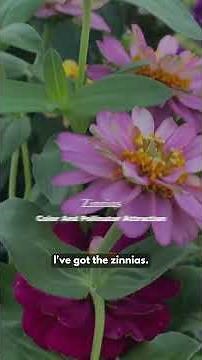 Strawberry Companion Planting: Best Plants to Grow (and What to Avoid!)